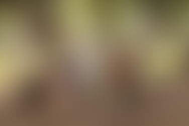 irvine park in orange country family get together photo session