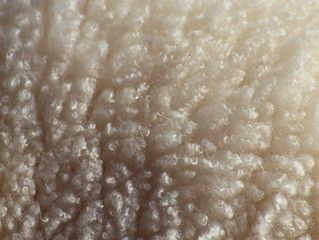 Naturally Fire Retardant