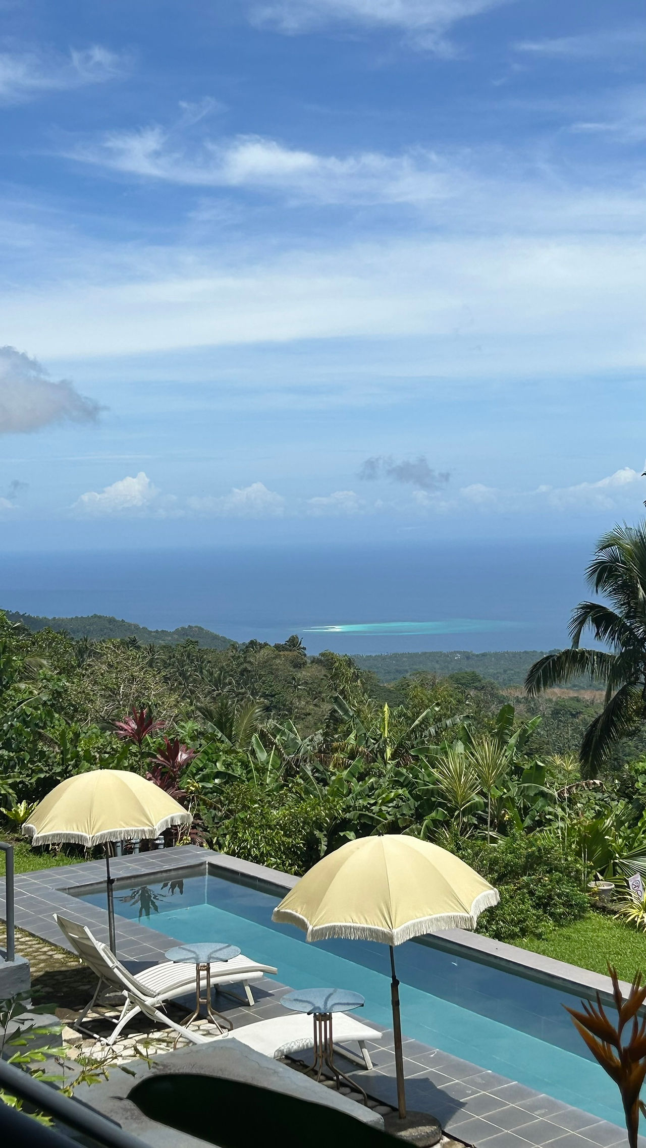 Panorama mit Palmen und Blick aufs offene Meer