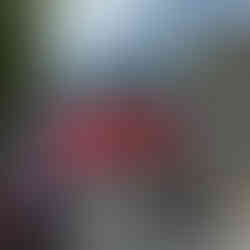 El Nido's Straßen mit Mopeds and Filipinische Tuktuks