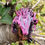 תמונה ממוזערת: PLA BI-color SILK BLACK PURPLE
