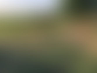 SCA VATIKA is truly Holistic Center caring all Living Beings equally well