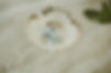 7R503671.jpg