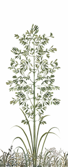 Screenshot 2022-04-29 at 17.56.08.png