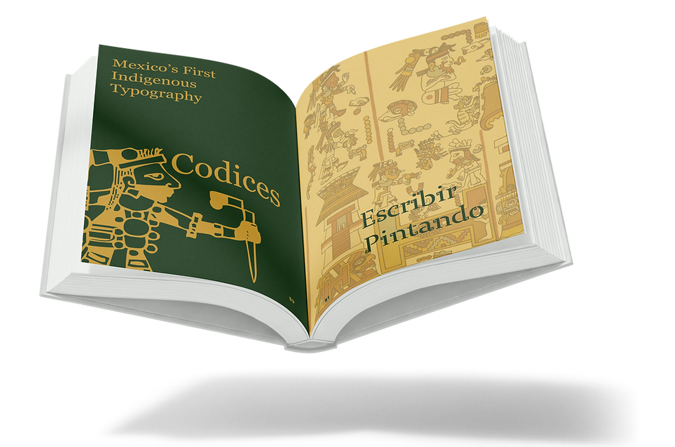 book3-open-codices.png