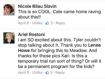 Parents and teacher comments.