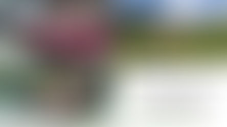 Apply to ESP Photobiology School June 15–20, 2026 