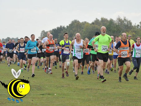 New Forest Stinger - Results