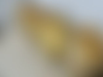 SENTI LA PUGLIA : Vivez les Pouilles comme un local par des expériences uniques