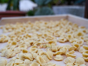 What Are Orecchiette? The Ultimate Guide to Puglia’s Most Famous Pasta