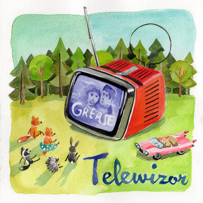 TV set