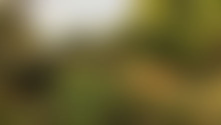 Wat zou jij met jouw leven willen als alles mogelijk was?