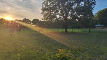 Yes!! Onze nieuwe website is live!