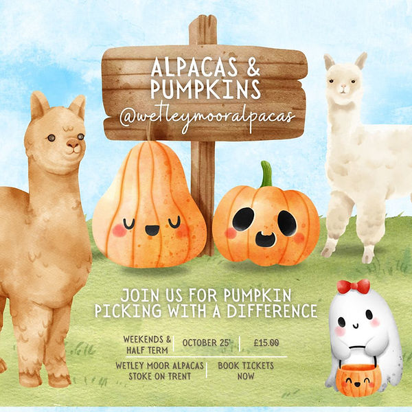 Alpacas & Pumpkins Square.jpg