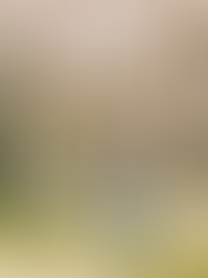 Are we listening? Recognising and Supporting Children's Mental Health Needs