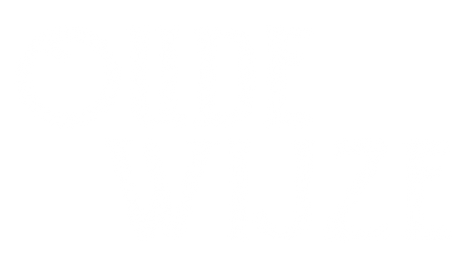 OUDE WIJZE DIAP.png