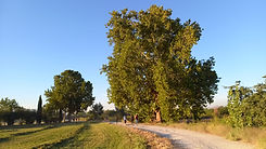 IMG-20231005-WA0052.jpg