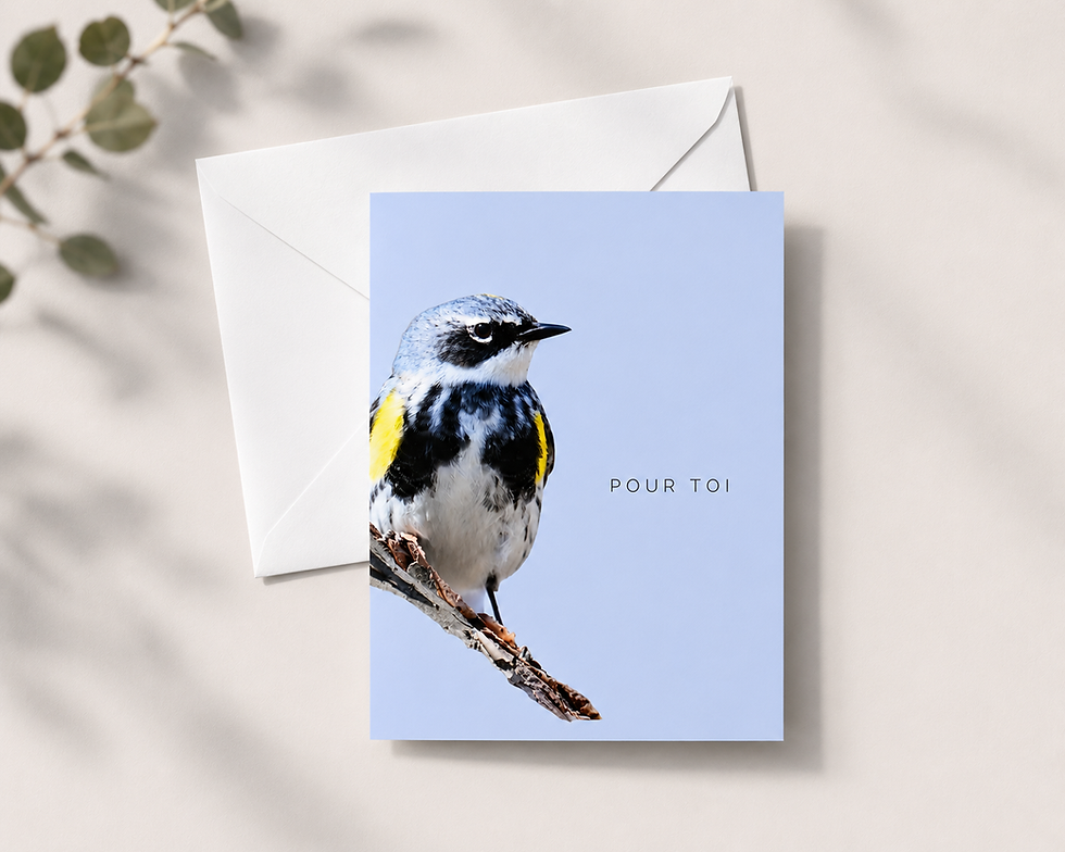 Mon nouveau projet : Mes cartes - Pour toi
