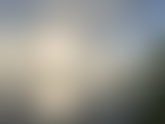 Semaine d'ornithologie automne 2024