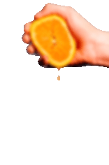 SQZ-1.gif