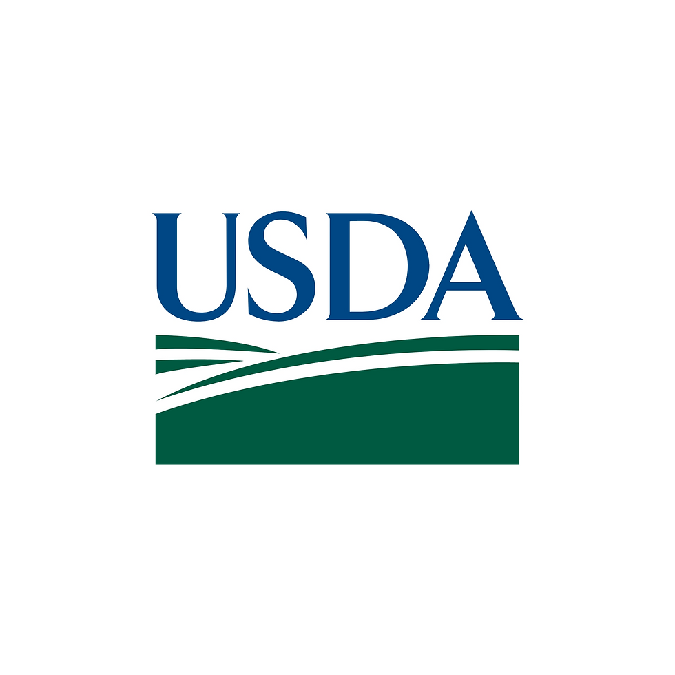 usd.png