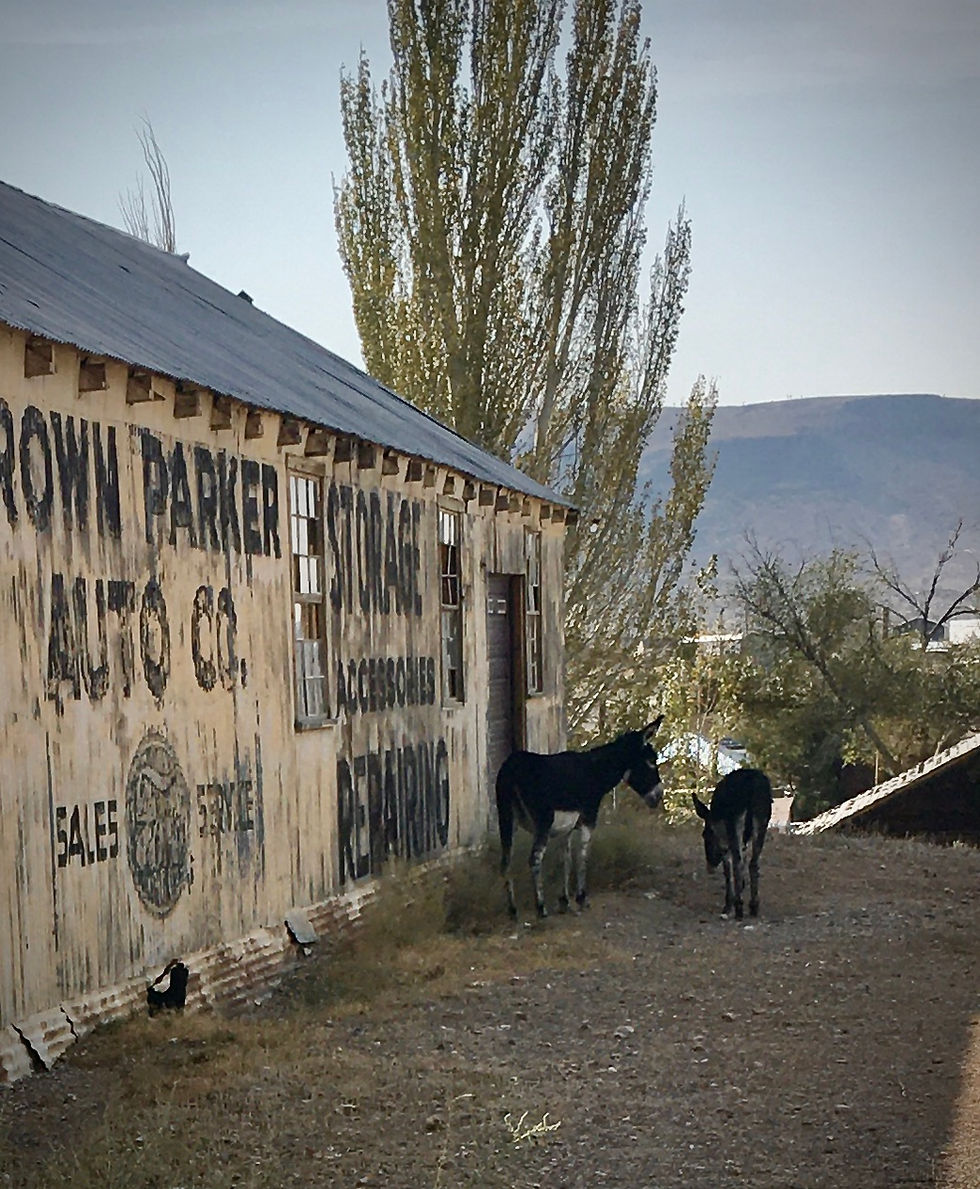 Goldfield Ghost Town in Real Haunts 3