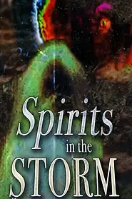 Spirits in the Storm, Movie Poster, link to Tubi, Documentary Film, Hurricane Michael, Bellamy Bridge, Elizabeth Bellamy, Bride