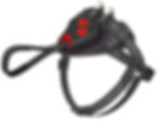 Harness Leash