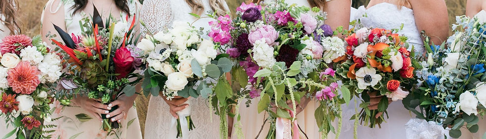 CAST0017- banner_edited_edited.jpg