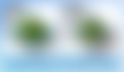 Melt Channel을 활용한 Shell Mesh 모델링