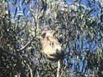 IMG_270245C73C42-10.jpeg