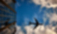 CQL - World Graphic.jpg