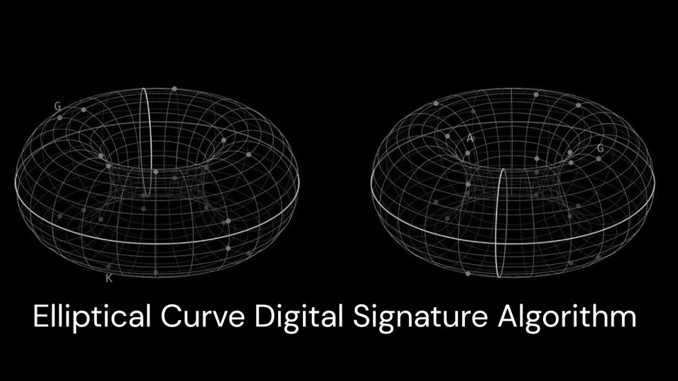 Visualization of ECDSA, 