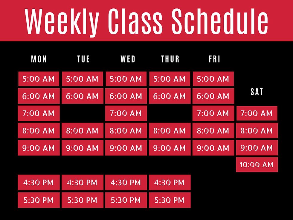 Max Body Schedule (4).png