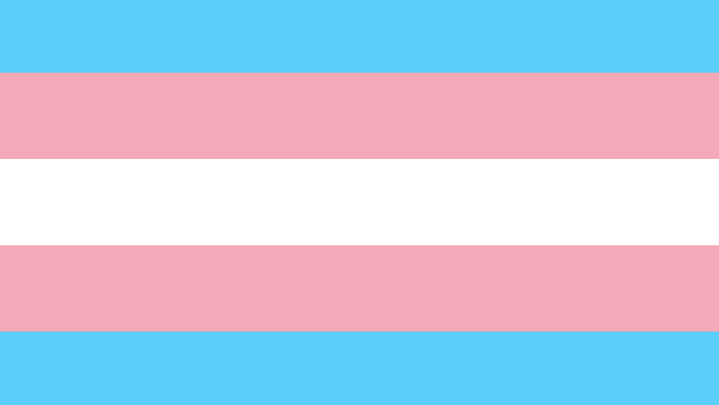 Statement on the Anti-Trans and Anti-Intersex EHRC Code of Practice in the United Kingdom
