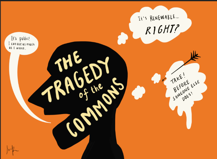 Tragedy of Commons