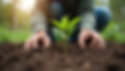 Simple and Effective Easy Climate Action Ideas for Everyone