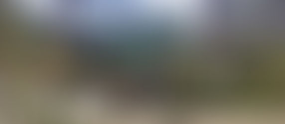 Nature as a Healing Space in a Jobcenter, in Copenhagen.