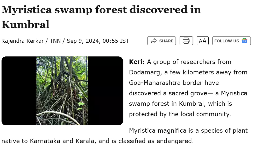 Myristica Swamp