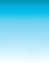 blue background 2026.png