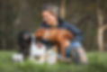 Two dogs licking the opening of a container