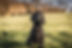 Black dog sat looking at camera with tilted head