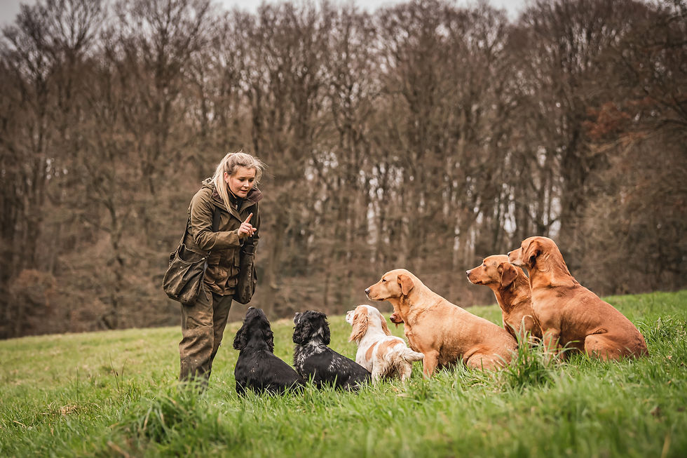 Lady with dogs sat in front of her in green field