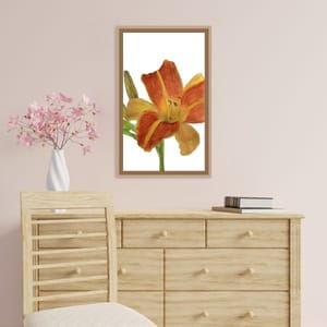 Watercolour Daylily.