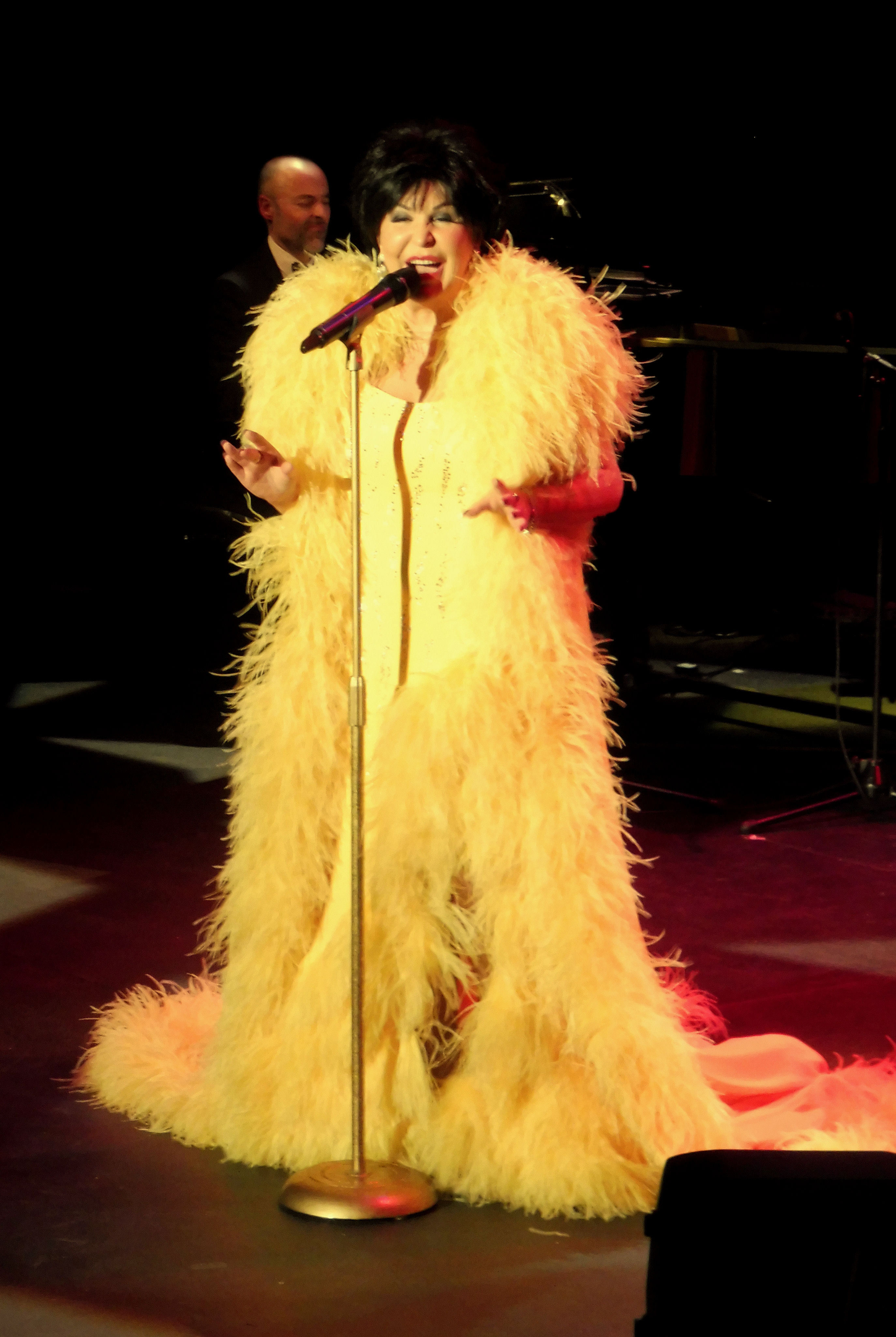 Dame Shirley Bassey Tribute