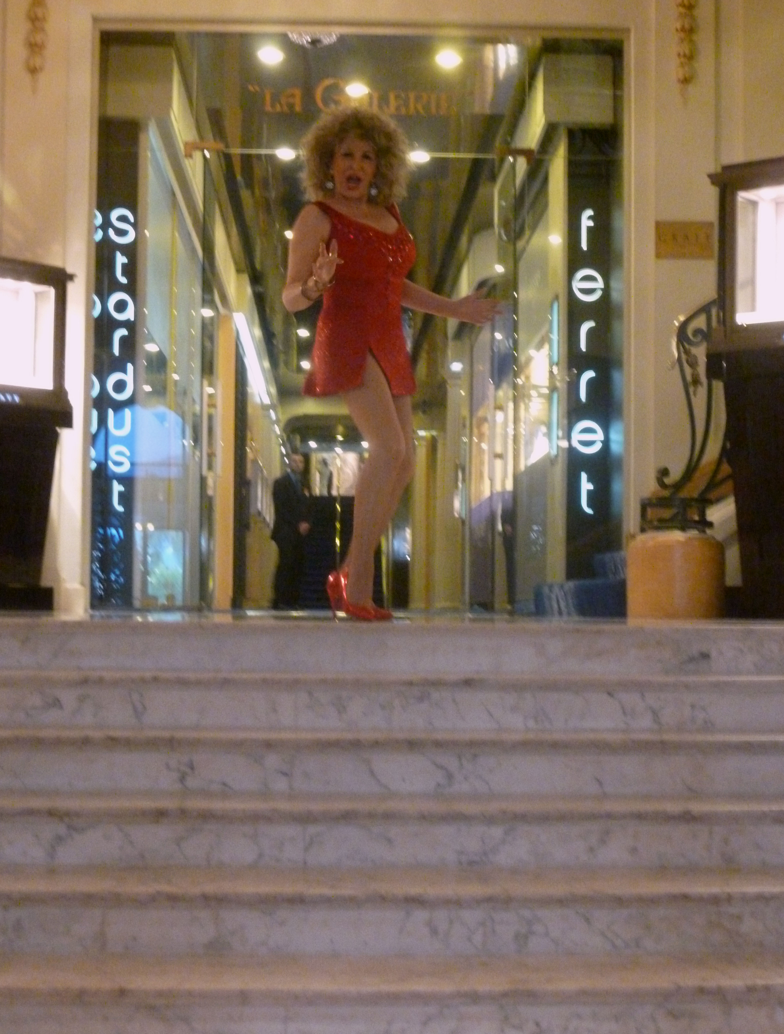 Totally Tina Turner Paula Randell