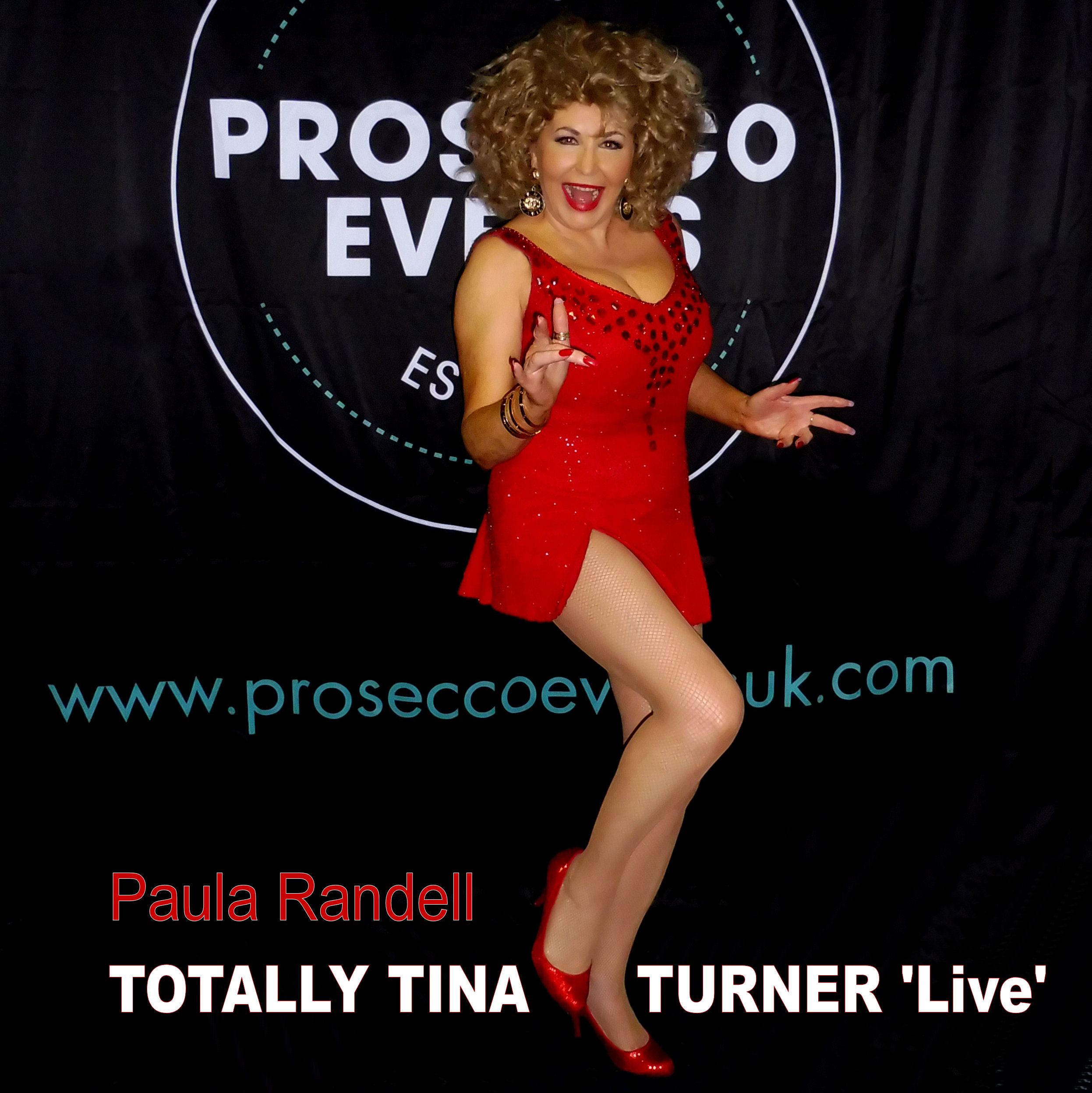 Tina Turner Tribute On Prosecco Tour