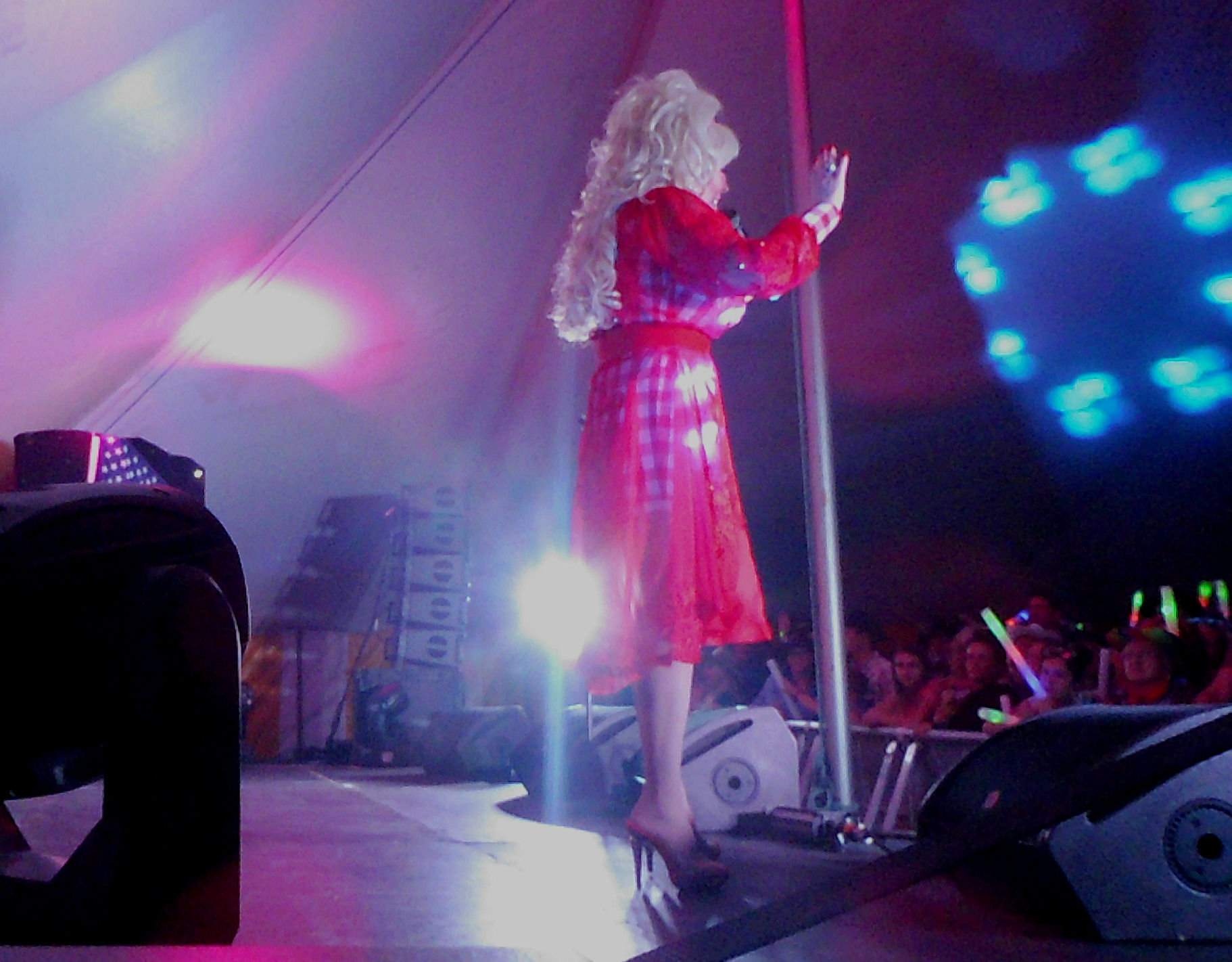 Dolly Parton Tribute Lookalike
