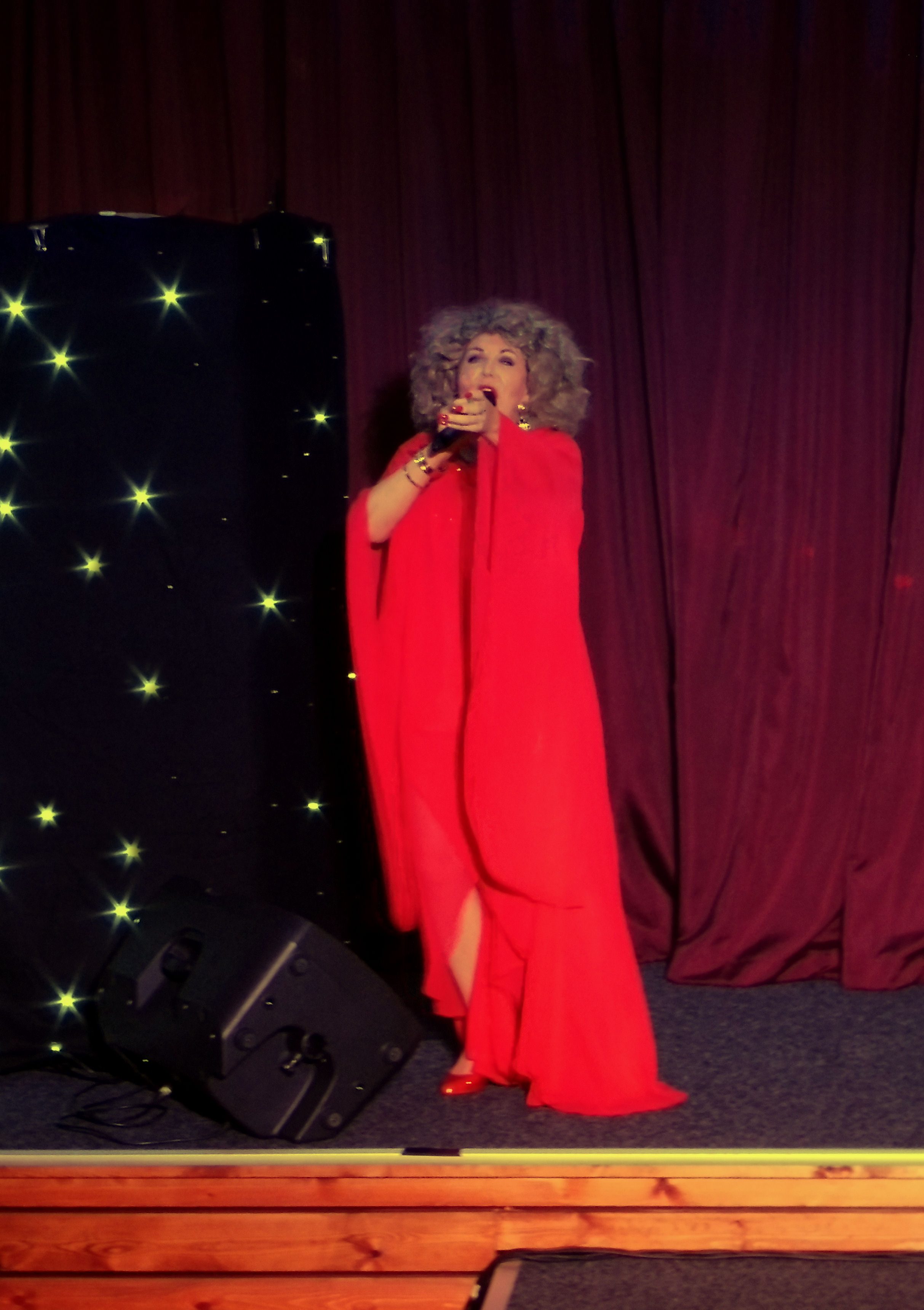 Tina Turner Tribute Impersonator