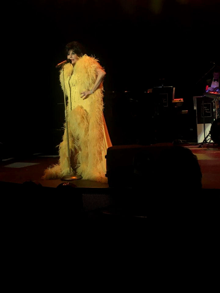 Shirley Bassey International Tribute